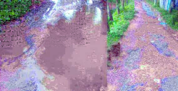 080926001.jpg